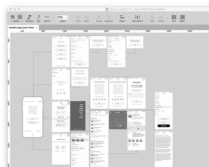 User Flow