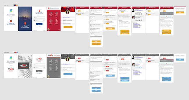 Mobile App User Flow